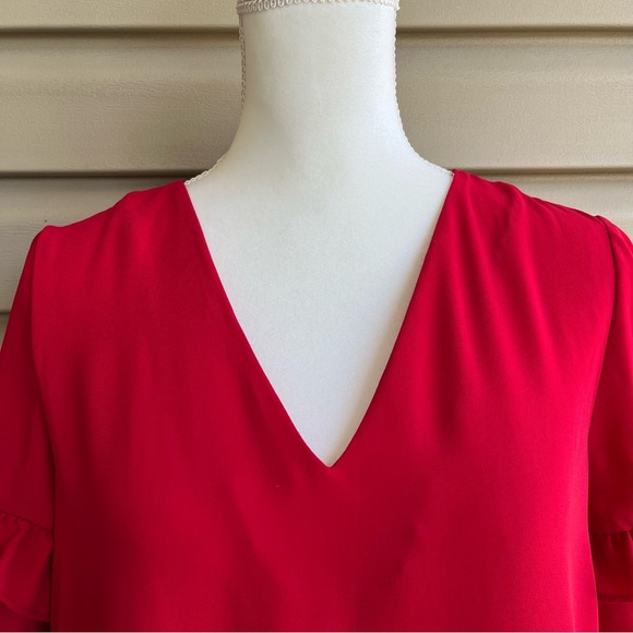 •Zara• NWT Ruffled Shift Dress - Size Small - Picture 3 of 8